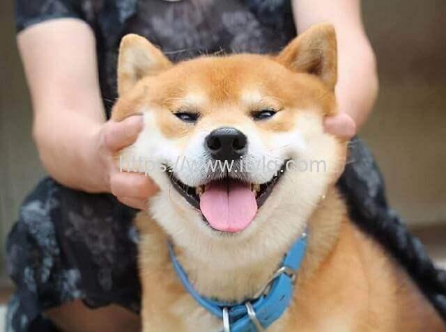 为什么上海每天新增那么多没有一个高风险地区？专家说出了答案