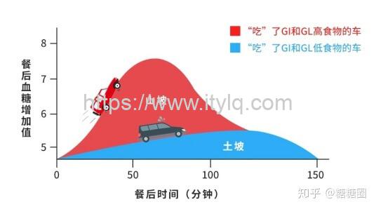 每天一点奇怪小知识：热量、升糖指数、血糖负荷等健身基本概念