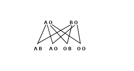 每天一点奇怪小知识:父母与子女血型遗传规律 每天一点奇怪小知识:父母与子女血型遗传规律